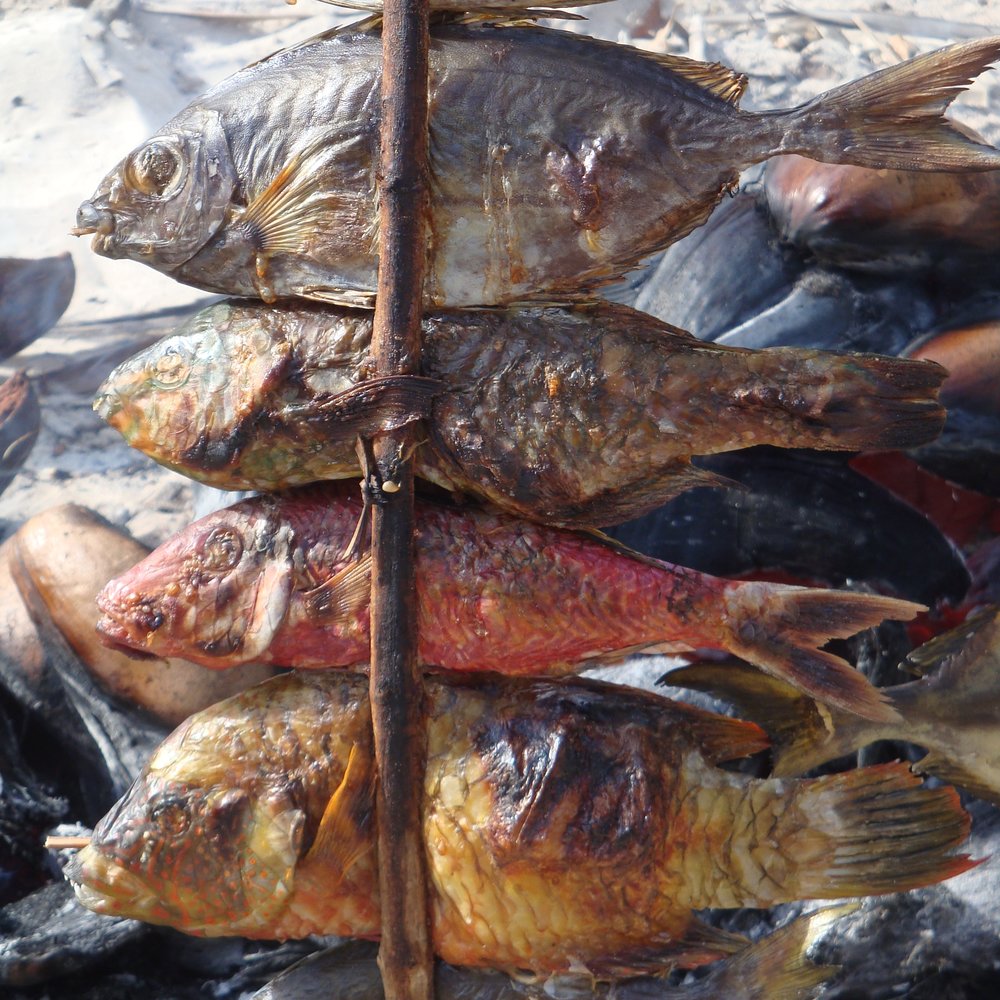 Overview — Eréndira M. Quintana Morales